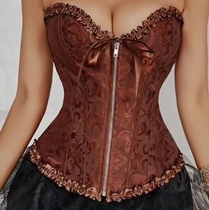 Steampunk Goth Brown Corset Top M-2X